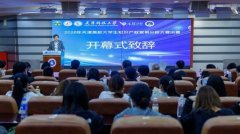 <b>正在思辨中专业素</b>